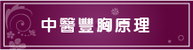 中醫豐胸原理